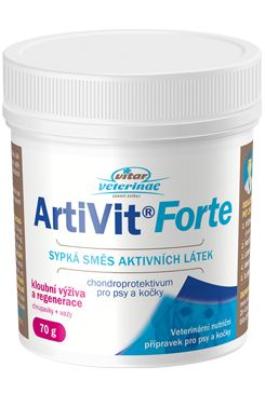 VITAR ArtiVit Forte prášek 70g