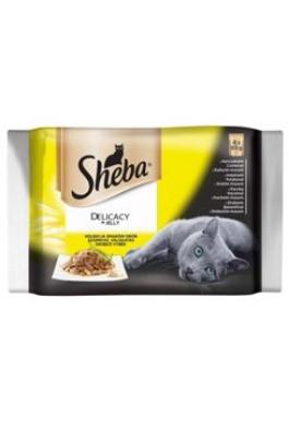 Sheba kapsa Delicacy drůbeží výběr v želé 4x85g