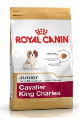 Royal Canin Breed Kavalír King Charles Junior  1,5kg